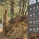 봉의산성 Daum카페