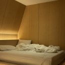 단델리온 신사1호점 이미지