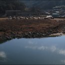 곡성청소년야영장 티스토리