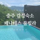 페나테스 | 충주 감성 독채 숙소 페나테스 풀빌라 내돈내산 후기