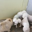 파라다이스유치원 이미지