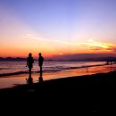 안의꽃사랑 이미지