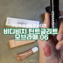 비디비치 모브라떼 내돈내산 후기, 여행 내내 바른 가을뮤트 데일리립 생얼립 추천