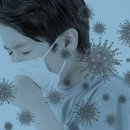 스파피아 이미지