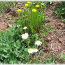 진우농장 이미지