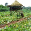 (유아)창의미술 이미지