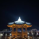 얼빵이물회 | 0410 일요일 당신의근황 (사진 왕많음, 말도 짱많음)