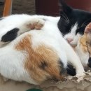 일루와농장 이미지