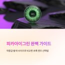 골드퀸PC | 피카아이그린, 착용감·발색·사이즈 기준으로 비교해봤다