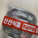 비티랩 | [샐러드 배송맛집] 새벽배송으로 받아본 싱싱한 비티랩 샐러드 리얼후기!
