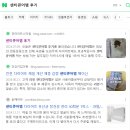 화남 | 센티큐어엠 진짜 찐 후기(화남주의)