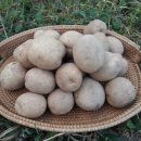 근우농장 이미지