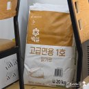 룡가해물왕짬뽕 | 남당항 맛집 룡가해물왕짬뽕 천북굴단지 근처 애견동반 중국집