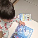 해랑어린이집 | 영유아 수산물 식습관 캠페인, 편식하는 아이 입맛과 놀이 모두를 챙긴 체험형 프로그램