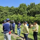 서구-62 이미지
