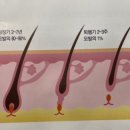 집고춘천 이미지