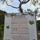 진주캠핑장 연꽃자리 캠핑타운 단풍자리 2박3일 지내본 후기