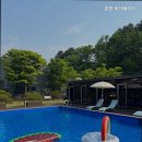 비다펠리스 이미지