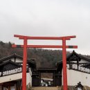 더 료칸 Daum카페