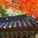 (주)제이트립 이미지