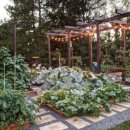 진배농장 이미지