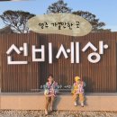 64 | 영주 선비세상 체험거리 가득 아이와 가기 좋은 한글놀이터까지