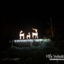 월척오리 이미지