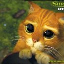 플러피펫 이미지