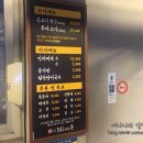 박대호제주Miss돈 이미지