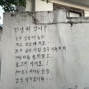 104. 여름을 이겨내는 방법