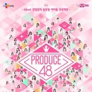 긍정의 피디(PD) 네이버블로그