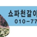 미인촌