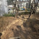 미래클예능어린이집 이미지