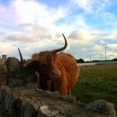 종은목장2 이미지