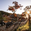 별밤펜션 캠핑장 이미지