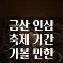 금산인삼 이미지