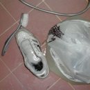 깨끗한 운동화 이미지