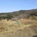 화도면-4 이미지