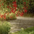 금요공감-그리움으로 떠나는 음악여행 ''노스탈지아'' | 빗소리 봄비라며 상쾌함을 가져다 준다 - 시와 음악