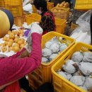 청하농장 이미지