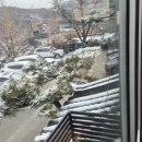 코다리명가(백운호수점) 이미지