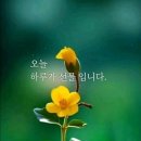 100세의료기