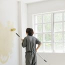 하우픽스 이미지