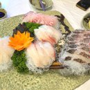 다미진 | 초딩입맛 부부도 반한 제주 표선 맛집, 해비치 호텔 근처 맛집 자연산 횟집 &#39;다미진&#39; 솔직후기