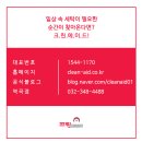 크린에이드 역곡점 이미지