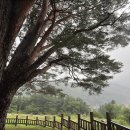 반송초등 이미지