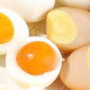 건강안마주식회사 이미지