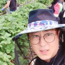 호일농장 이미지