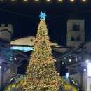 남광약국 | 짜릿한 12월 1째주