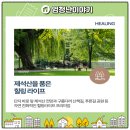 금당중학교 옆 이미지